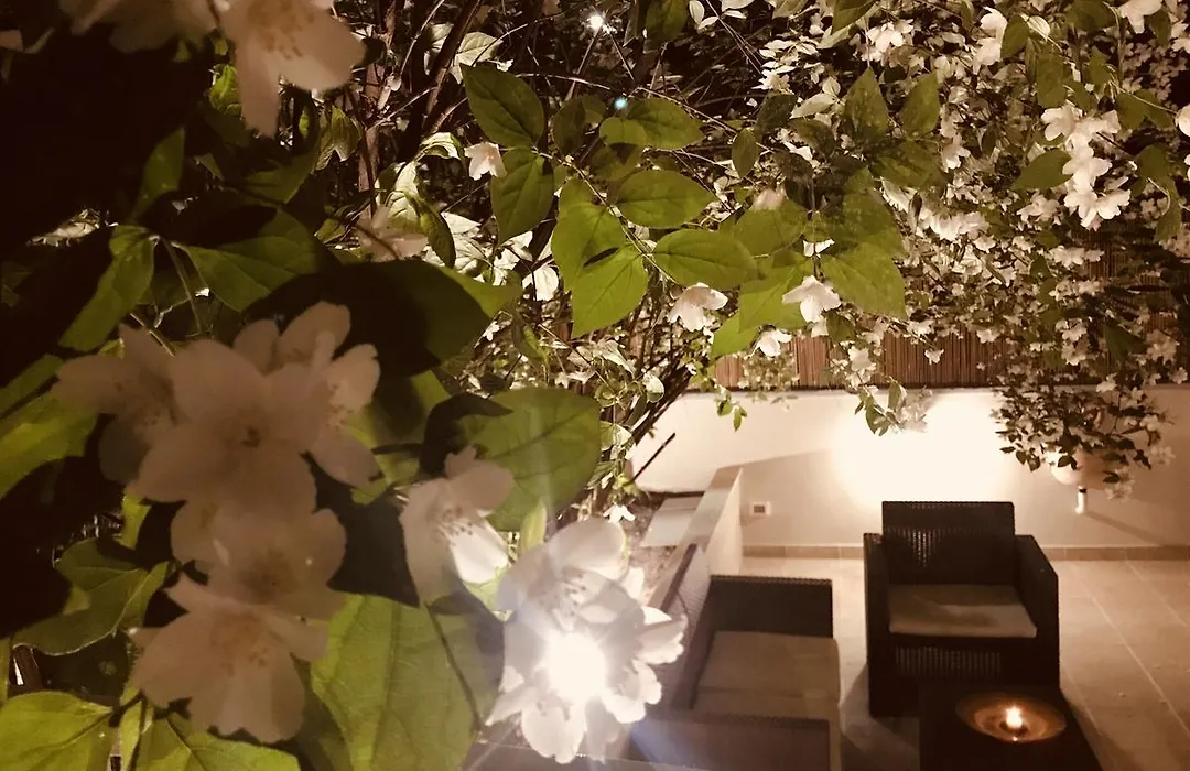Aruna Suites-1